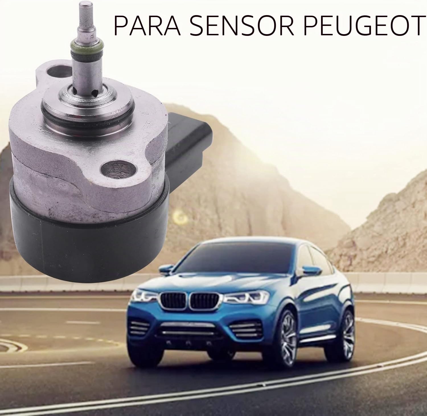 Regulador de PresióN de Bomba de Combustible Carril ComúN para para 2.0 0281002493
