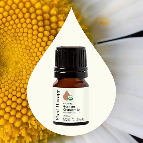Miniatura 3 de Plant Therapy Aceite esencial de manzanilla alemana orgánica 0.1 fl oz (112 oz) 100% puro, sin diluir, grado terapéutico