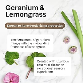 ATTITUDE Dish Soap, EWG Verified, Plant and Mineral-Based Ingredients, Vegan and Cruelty-free Household Products, Geranium and Lemongrass, 67.6 Fl Oz