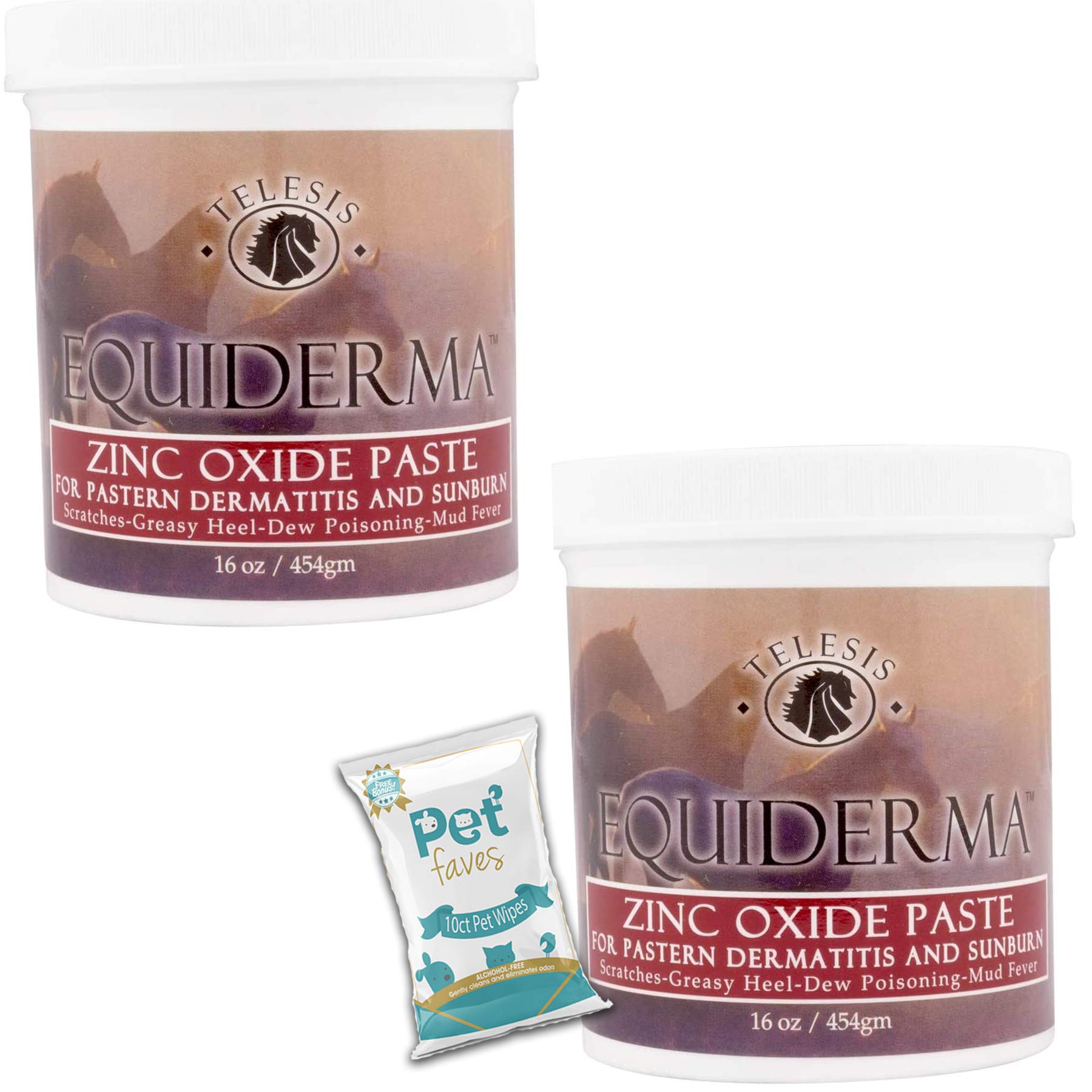 EQUIDERMA( 2 Pack) Zinc Oxide Paste 16oz for Pastern Dermatitis and Sunburn with 10ct Pet Wipes