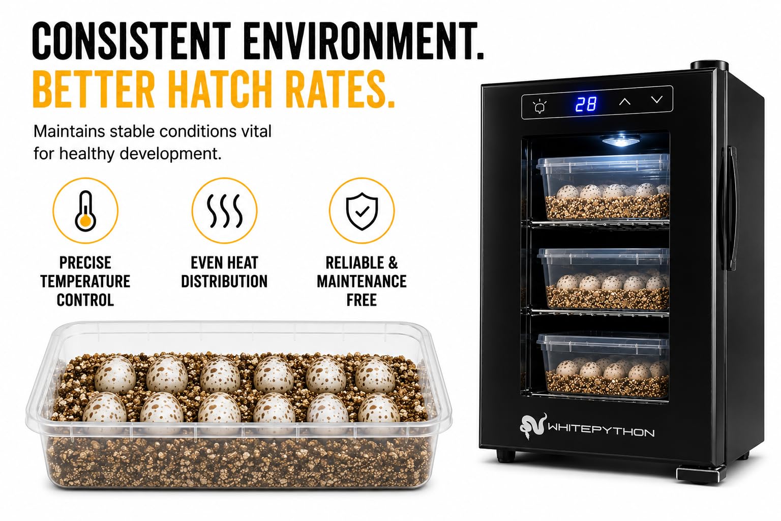 Incubatrice per rettili, 23 l, per cova uova, lucertole, tartarughe, draghi barbuti, tecnologia di riscaldamento automatico termoelettrico, semplice da usare