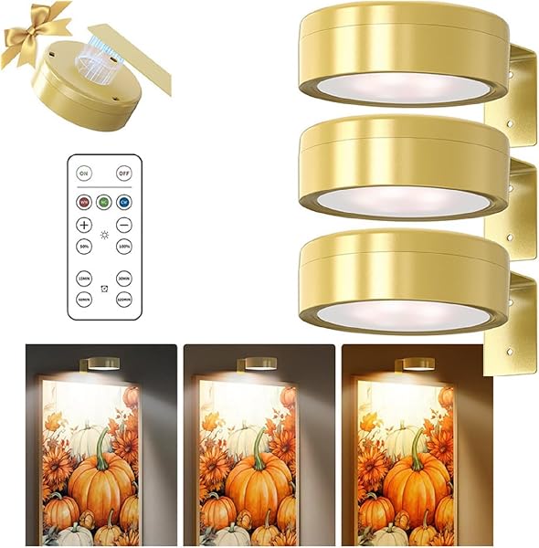 COIRISI 3-Pack Rechargeable Picture Lights with Remote