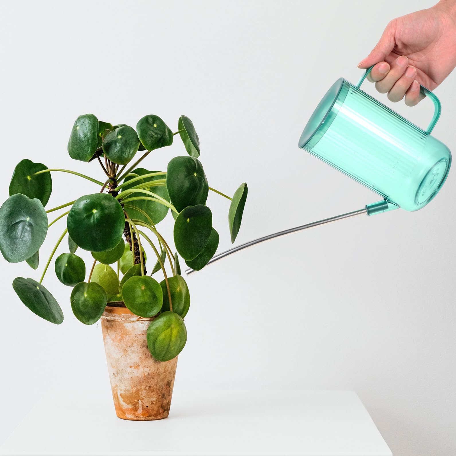 BESTonZON 2ensembles Arrosoir Acier à Bec pour Plantes Intérieur De Vaporisateurs Vert Gris Étoilé pour Irrigation des Et