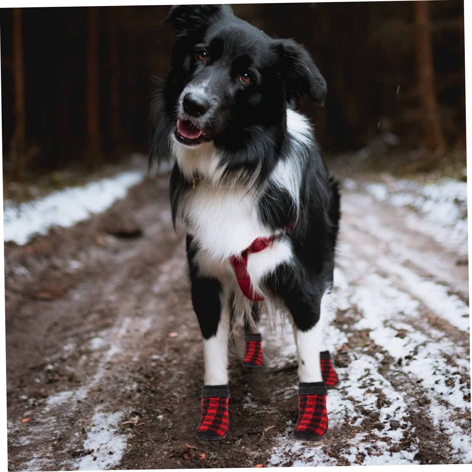 Levemolo Dog Socks for Small Dogs Fun Stockings Non-Slip Bottom Christmas Pet Footwear