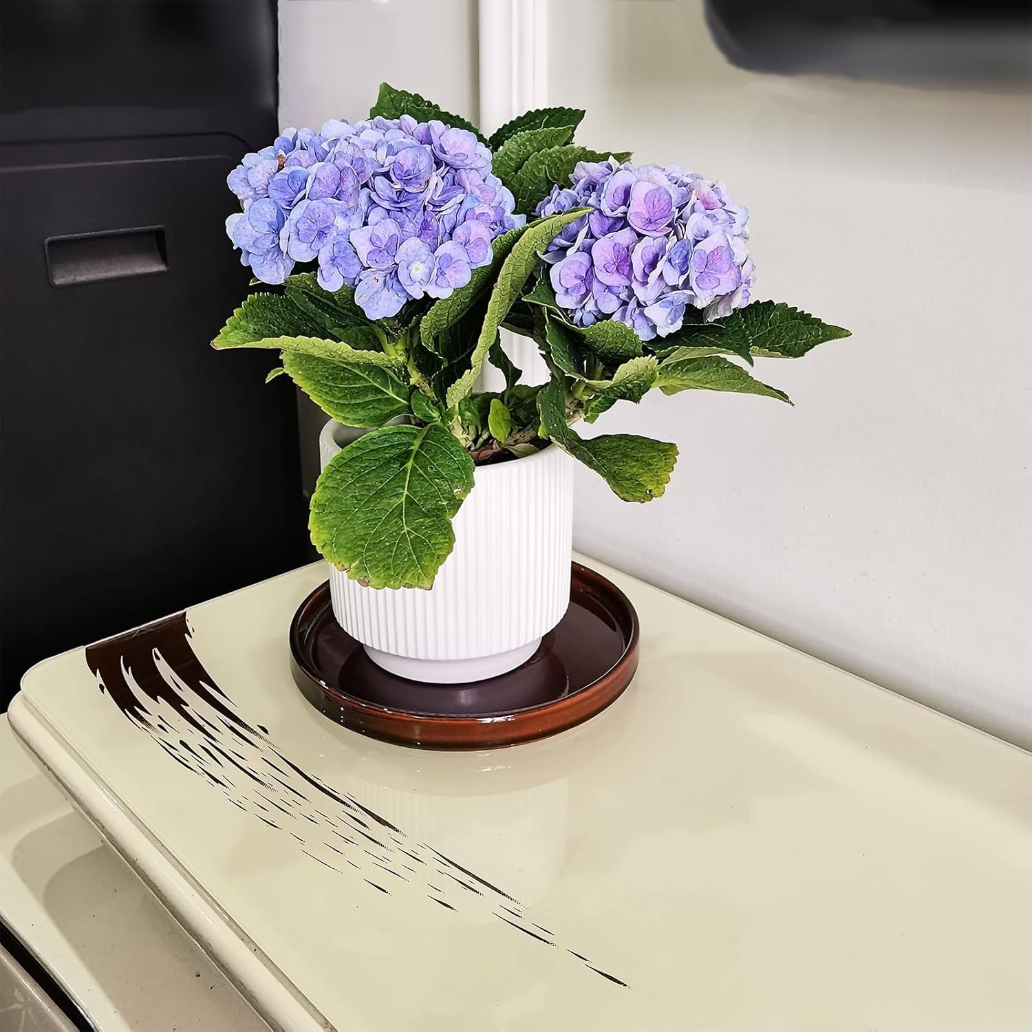 Ceramic Plant Saucer 7 Inch, 2 Pack Round Plant Trays for Indoors/Outdoors, Flower Pot Saucers for Holding Water Drips and Soil, Ceramic Drainage Tray for Plant Pot (Reactive Glaze Brown) - Image 4