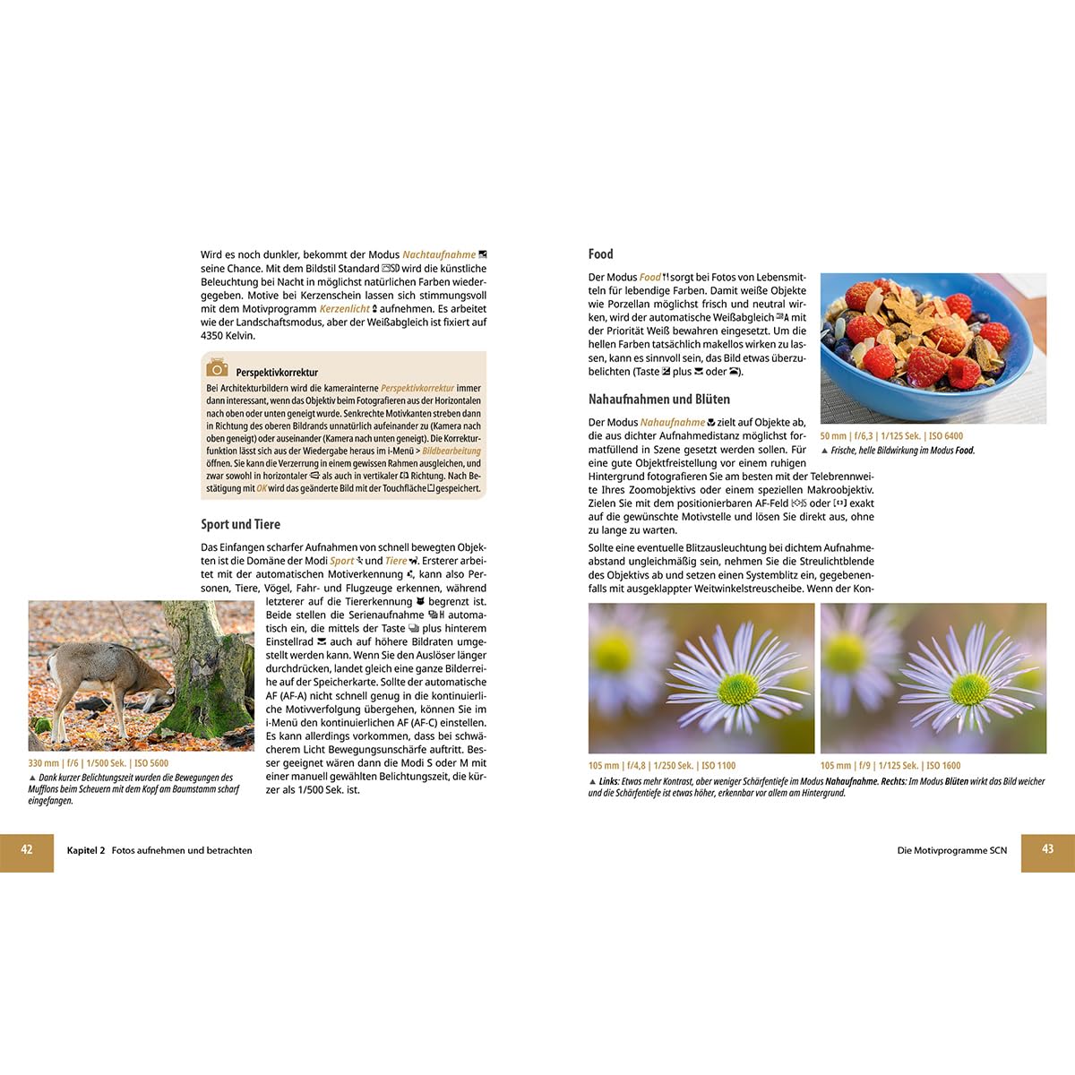 Nikon Z50 II: Das umfangreiche Praxisbuch zu Ihrer Kamera: Expertenwissen, Tipps, verständliche Anleitungen und praxisnahe Beispiele von Profifotografen - für beeindruckende Fotos und Videos