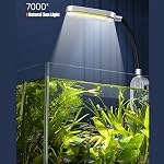 Kits de démarrage de réservoir de poisson, Aquarium Nano Glass avec filtre, Lumière LED pour Aquascape DIY Petit réservoir de poisson de Betta (1.5 Trousse de réservoir de poisson Gallon)