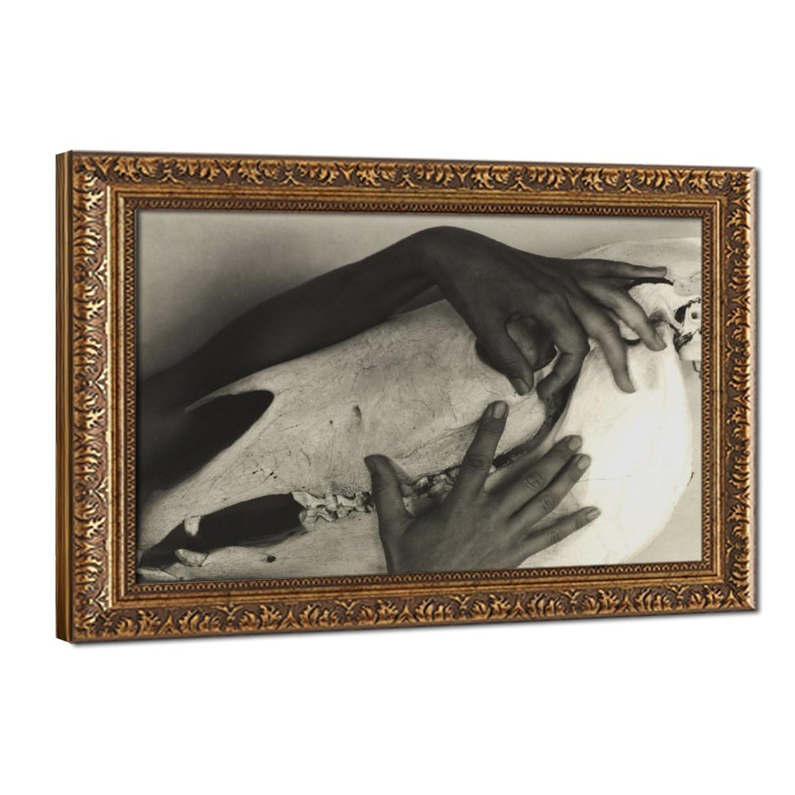 WCYB Alfred Stieglitz - Georgia O'keeffe - Hands And Horse Skull 1931 Prints Posters Canvas Deco Paintings Wall Art For Office Living Room Hangable Frame 8