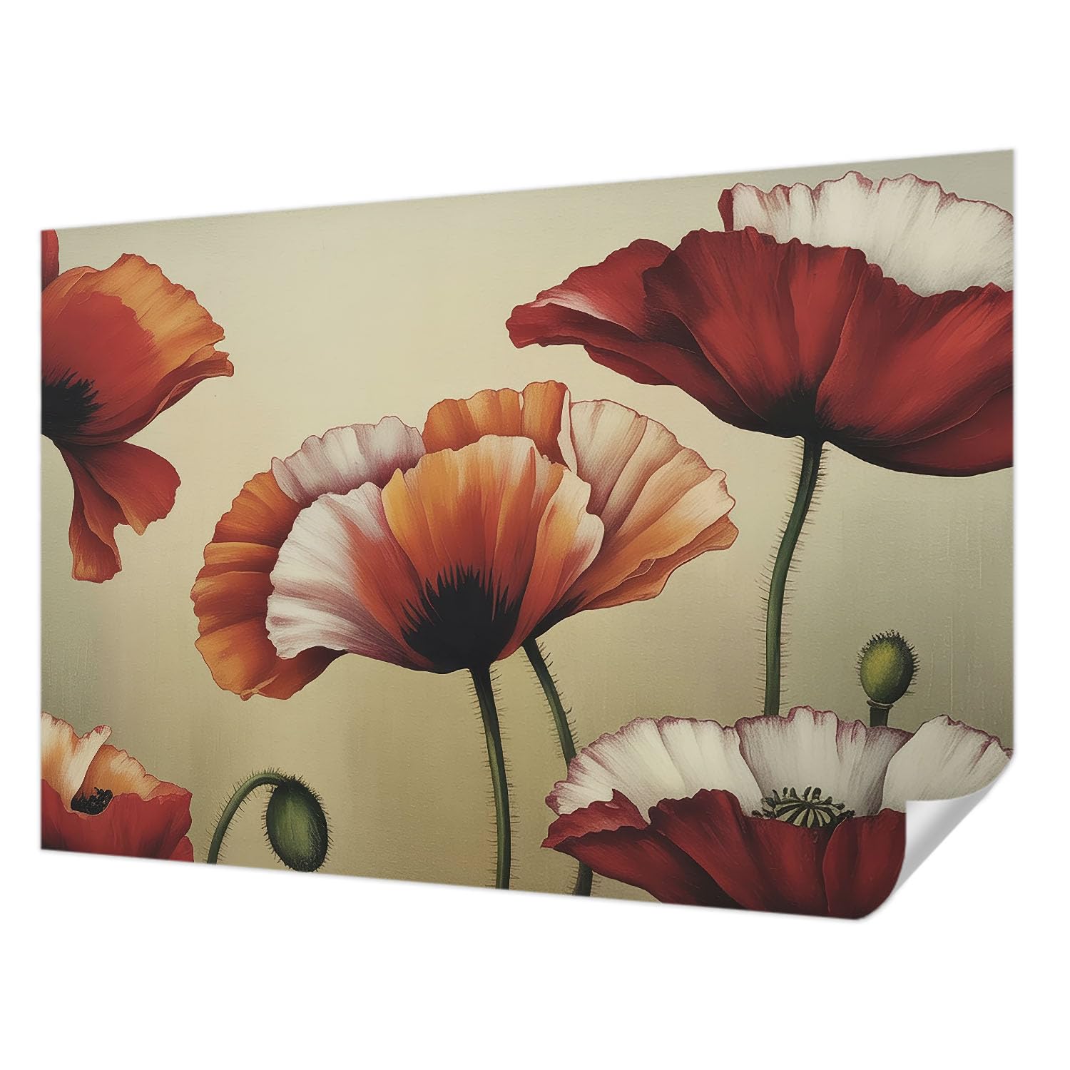 Papier peint photo coquelicots joyeux 152x104 cm déco murale salon