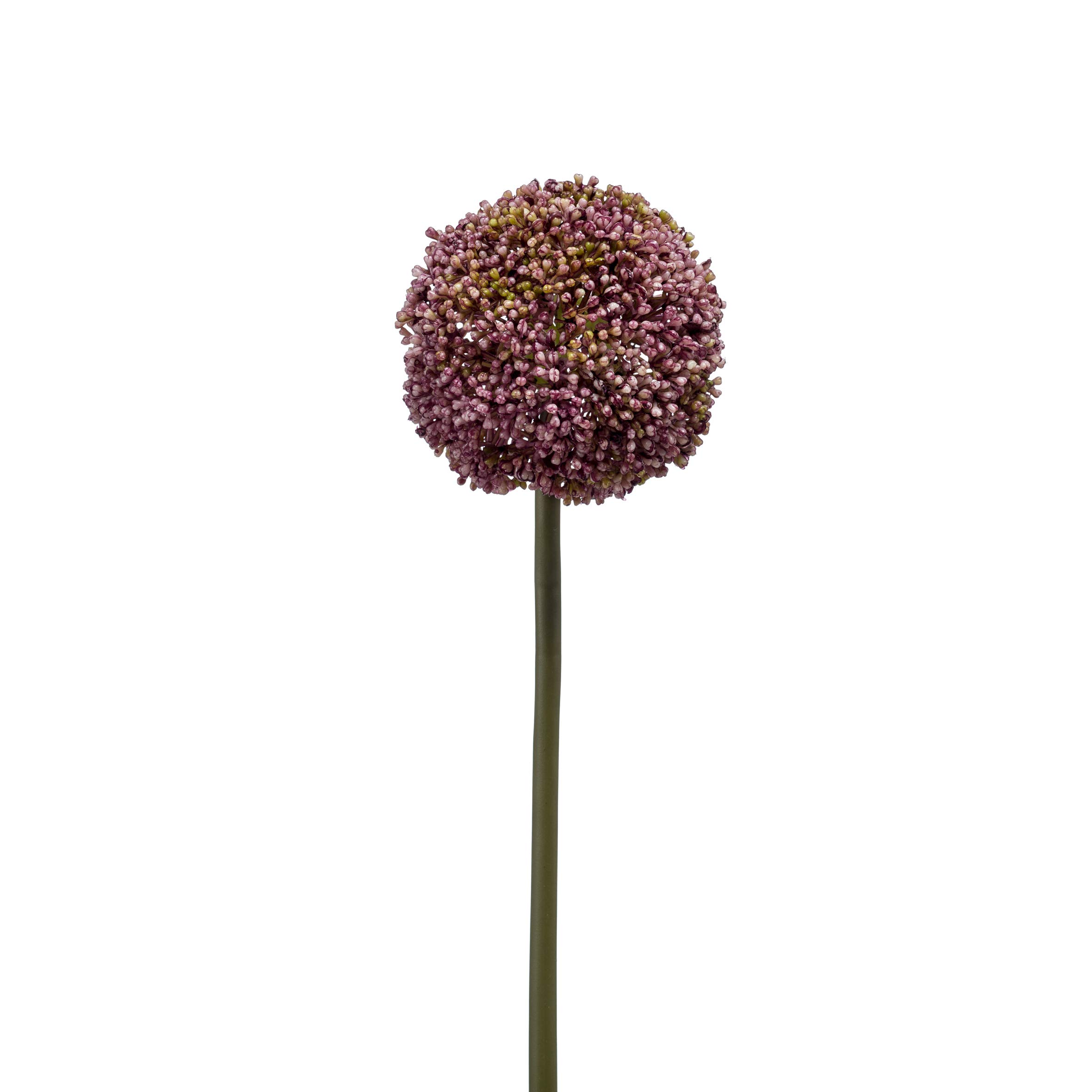 FloristryWarehouse Allium Artificial Single Flower Stem 75cm/30 Inches Tall Purple