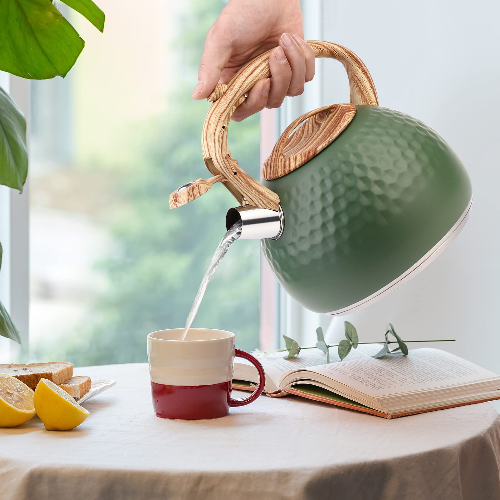 ERWEY Bollitore Moderno da 3 L, a Induzione, in Acciaio Inox per Tutti i Piani Cottura, Con Manico di Colore Legno, per Tè e Caffè, Verde