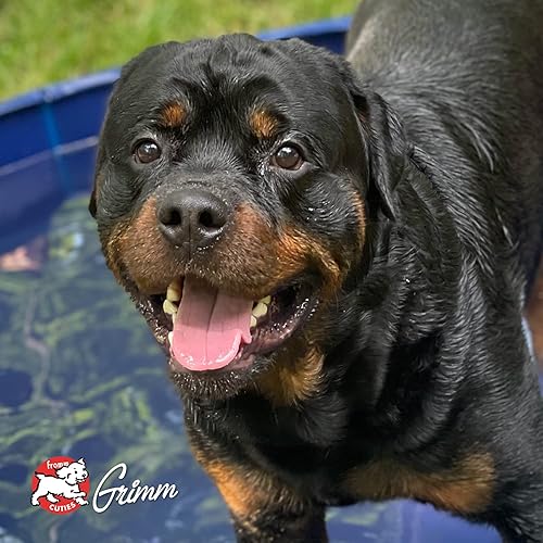 Miniatura 9 de Fromm Comida para perros con paté de pavo - Comida húmeda prémium para perros - Receta de pavo - Caja de 12 latas