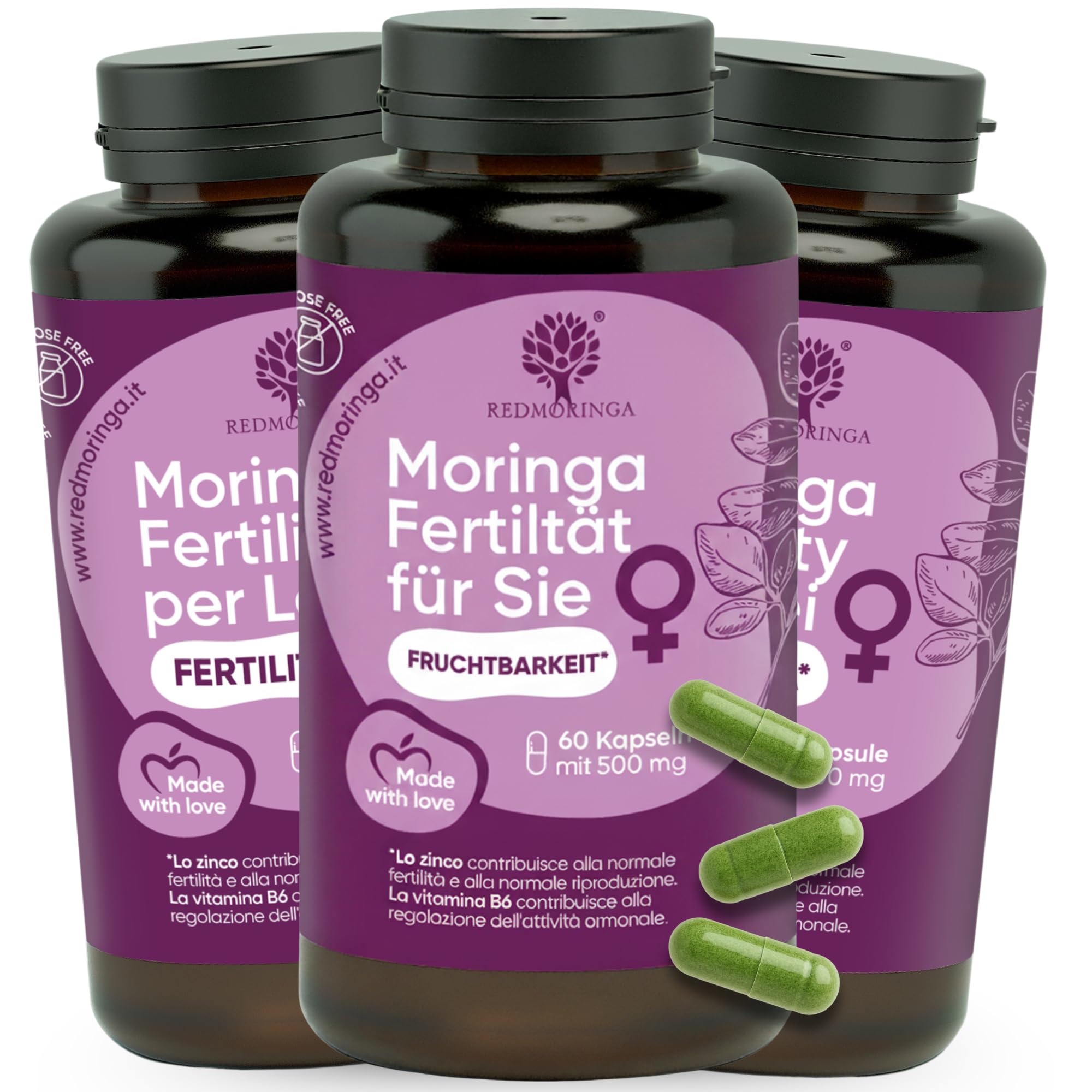 Red Moringa Kinderwunsch & Schwangerschaft Komplex - Moringa Kapseln mit Zink, Vitamin B12 & B6, Folsäure Kinderwunsch - Fördert weibliche Fruchtbarkeit, Hormonunterstützung & Zyklus - 180 Kapseln