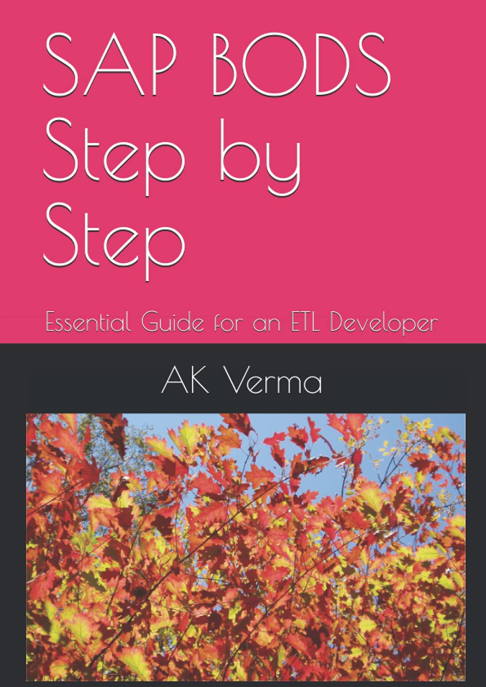 SAP BODS Step by Step: Essential Guide for an ETL Developer (SAP BW BASICS)