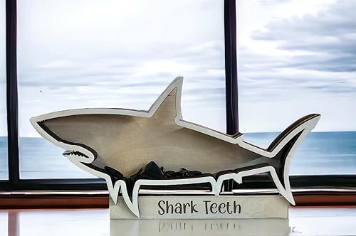 Vista 5 de Shark Tooth collection Shark Teeth Shadow Box Beach Home decor (6 inch) sharks beach vacation
