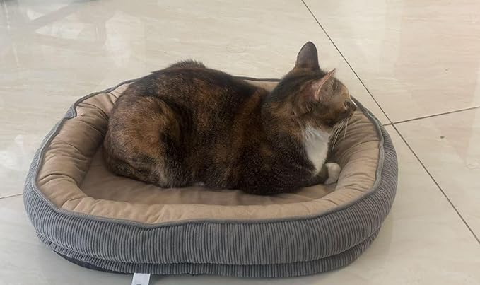 Cama Oval para Perros y Gatos Mediana 50x40cm Lavable miniatura 2