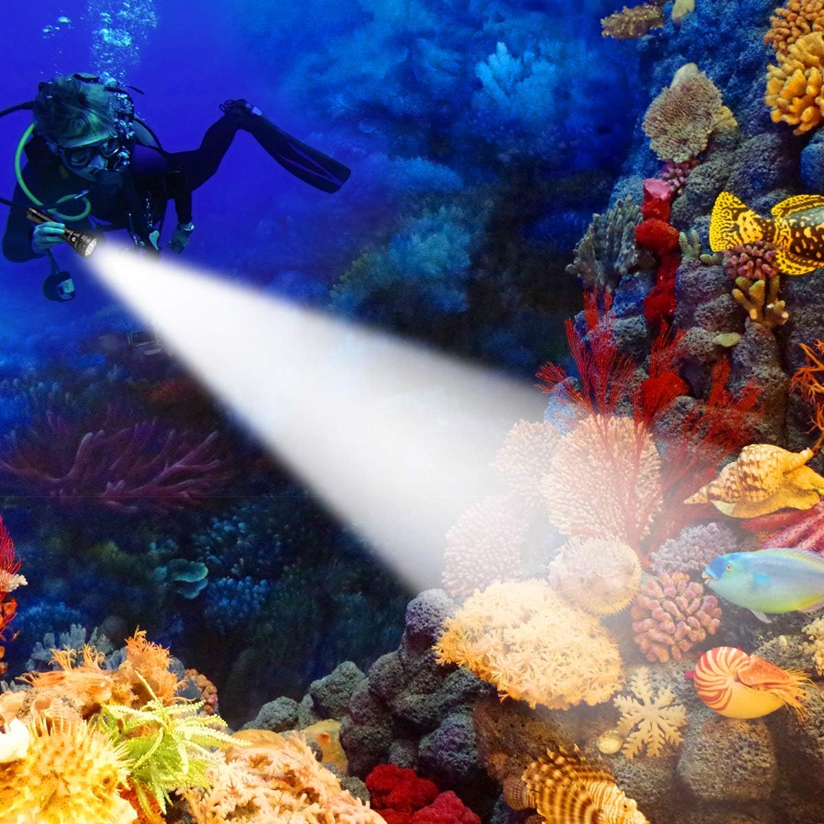 Wurkkos 5000 Lumen Dive Flashlight, Bright Scuba Diving Light 4 Samsung LH351D Scuba Dive Light Underwater Torch Light IPX8 Waterproof LED Submarine Flashlight with 2pcs Rechargeable 26650 Battery : Sports & Outdoors