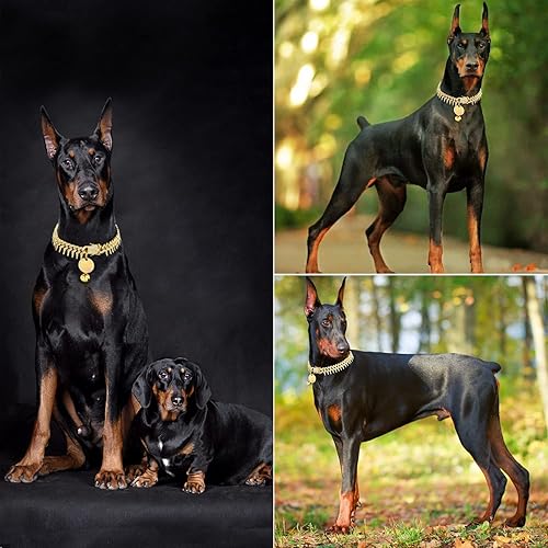 Miniatura 3 de JanToPet Rivet - Collar de perro de eslabones cubanos de 0.512in, cadena de oro para perro y gato con diseño de hebilla segura, cadena de diamantes