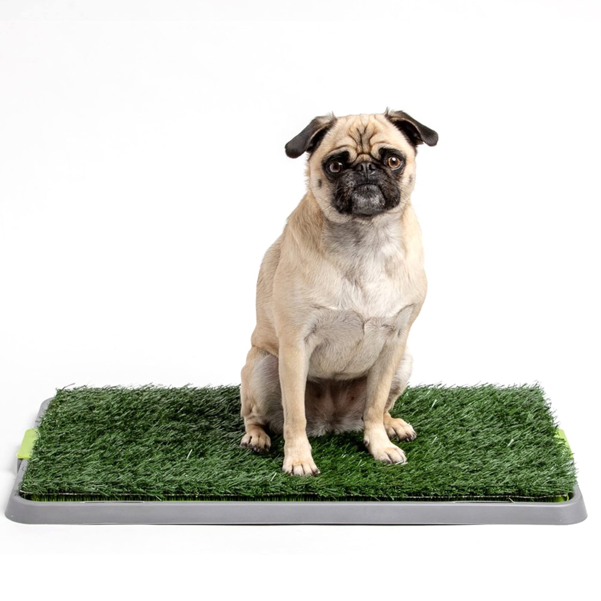 puppy potty grass pad
