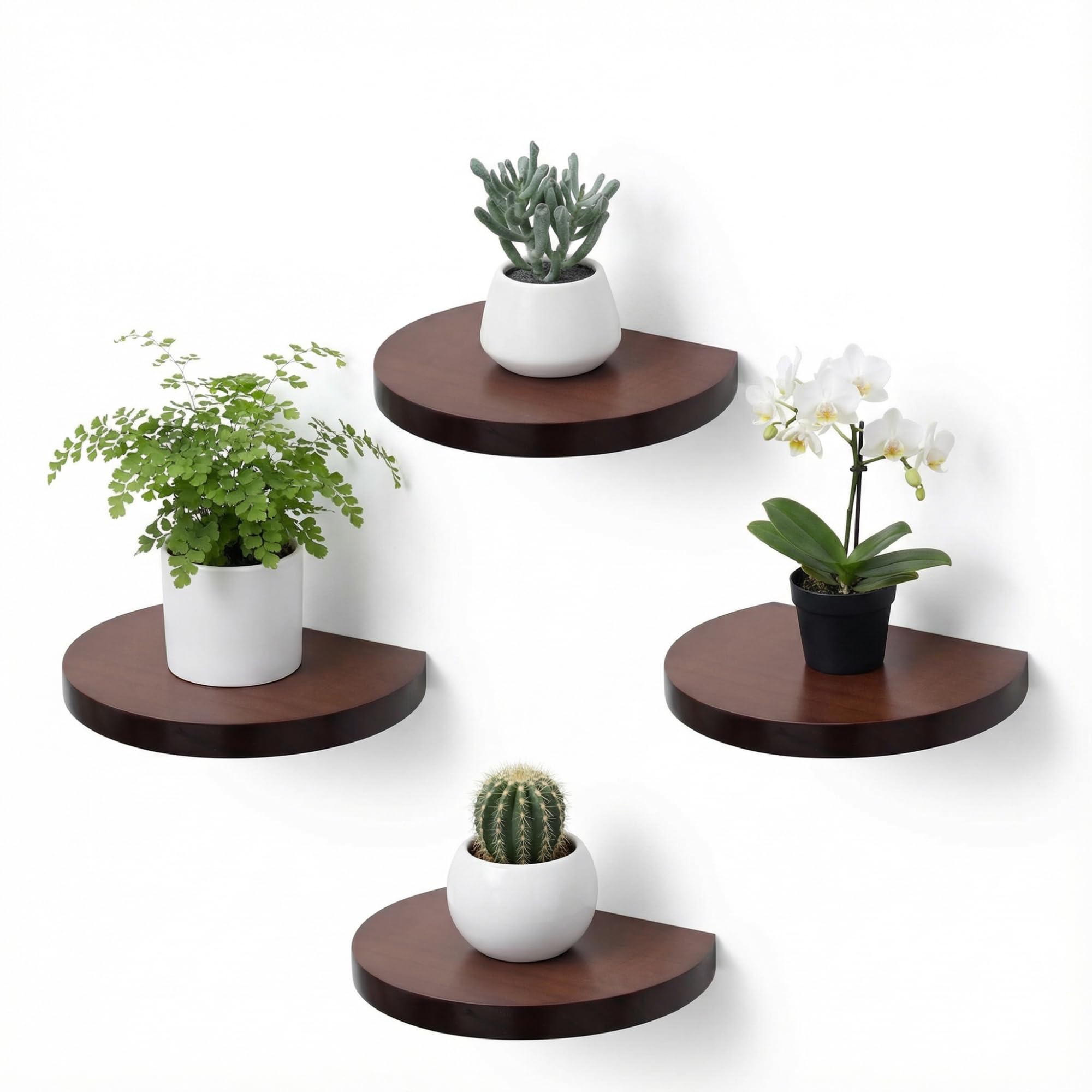PHOENANCEE 15.2X11.5cm Wooden Round Floating Shelves, Compact Style Mini Wall Shelf for Small Objects, Hanging Wall Shelf Decoration for Bedroom, Living Room, Set of 4(Dark Walnut)
