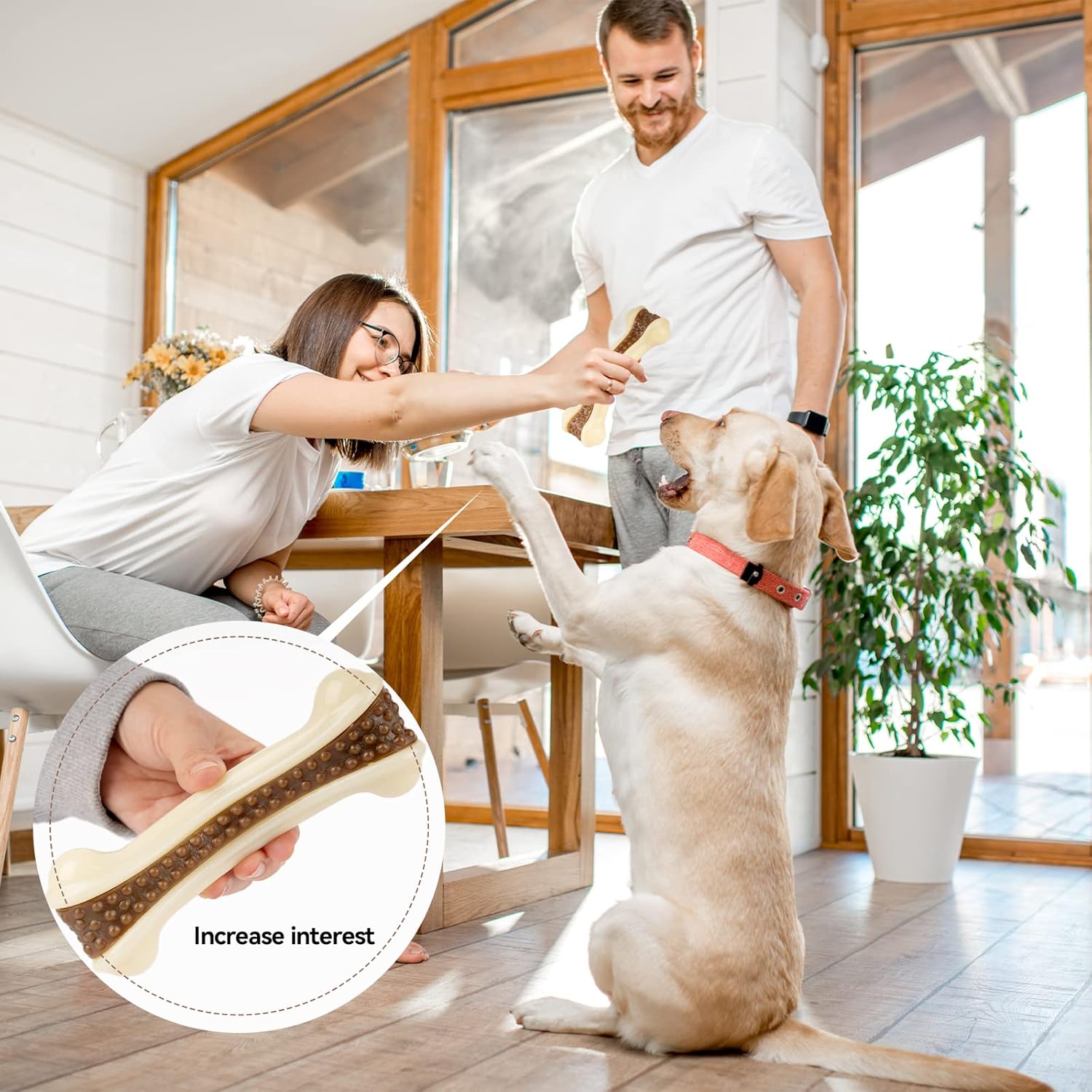Unleash the Fun: Top-Rated Nylon Dog Bones for Aggressive Chewers!