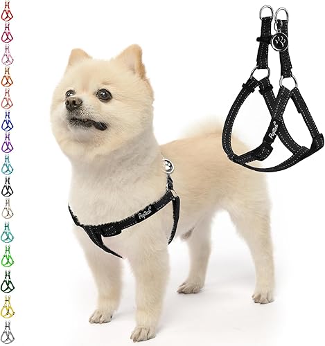 Miniatura 70 de PUPTECK Arnés para perro sin tirones, suave y ajustable, de nailon básico, chaleco para cachorros para caminar al aire libre con etiqueta