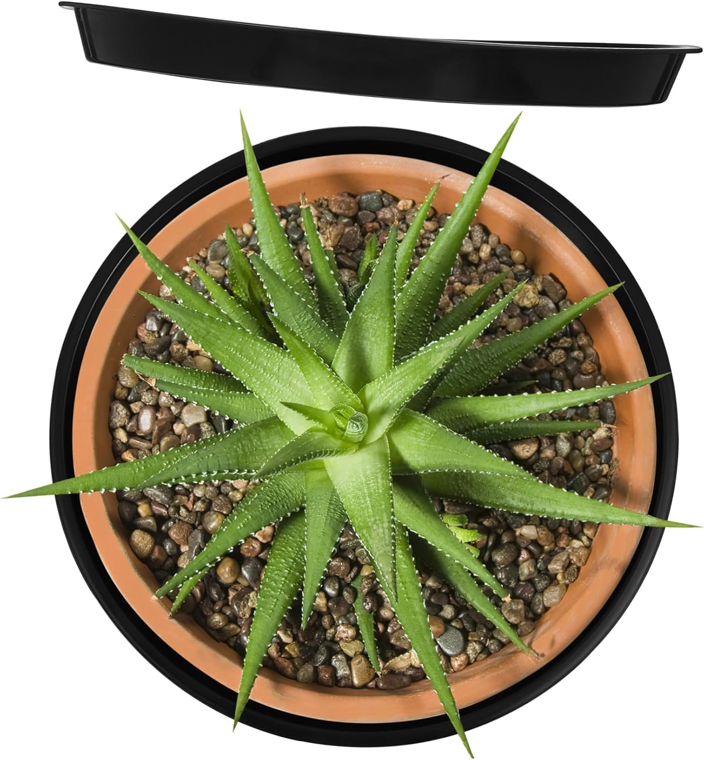 POPETPOP 10pcs Plant Pot Saucers Drainage Trays for Indoor and Outdoor Garden Use for House Plants Flower Pots and Gardening Projects