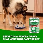 IAMS Proactive Health Aliments pour chiens mouillés adultes – Agneau & Riz – Terrain classique – 369G Peut (13 (12 Boîte)