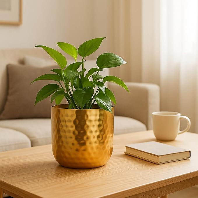 ecofynd 5 Inch Ivara Metal Plant Pots, Indoor Small Planter Flower Pots, Home Garden Decor Planter for Living Room Bedroom Interior (Gold Finish, POT045)
