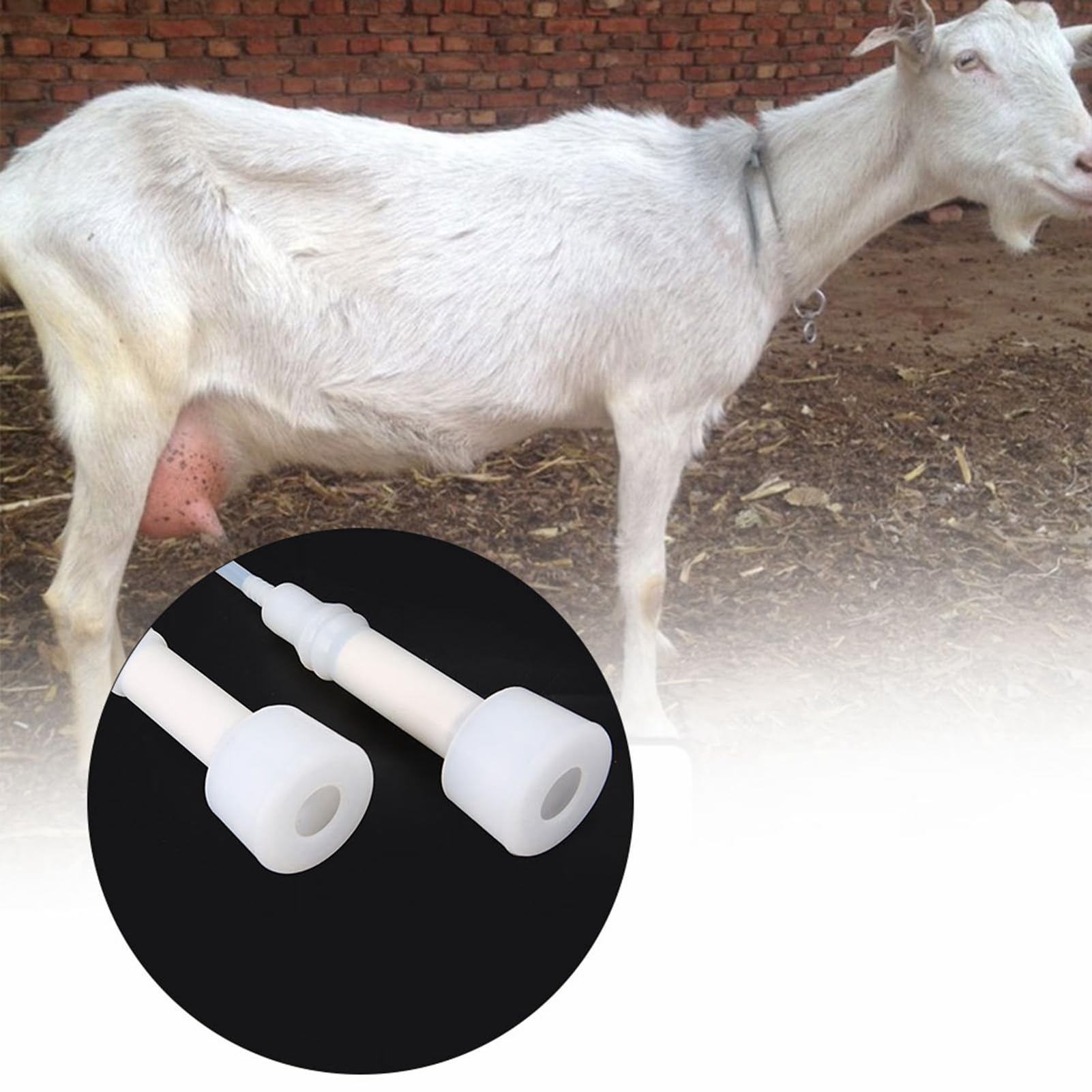 Generic Kit di Mungitura per Capre per Uso Domestico Portatile Forte Potenza di Aspirazione 3L per Agricoltori, Mungitore a Funzionamento Manuale per Proprietari di Mucche Ovine (per le pecore)