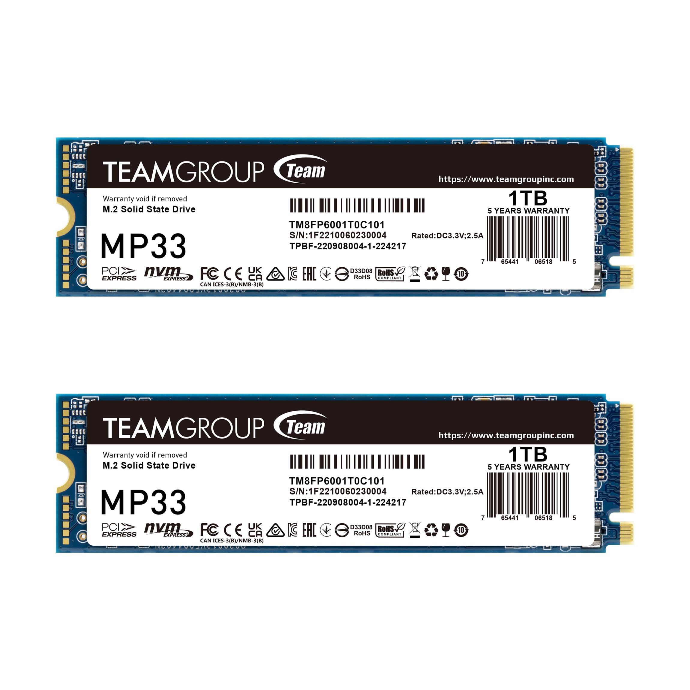 TEAMGROUP MP33 1TB 2 Pack SLC Cache 3D NAND TLC NVMe 1.3 PCIe