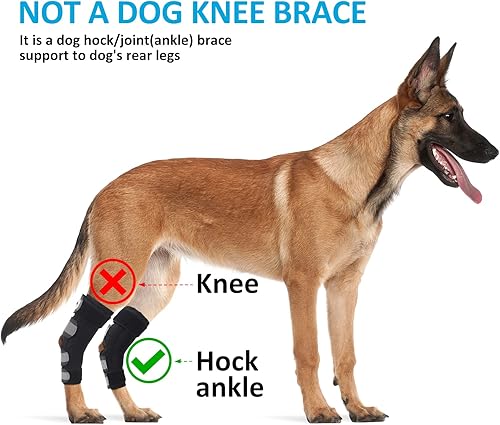 Miniatura 7 de Soportes para patas de perro para patas traseras, soporte de ACL para patas traseras de perros grandes, soporte de compresión articular para piernas