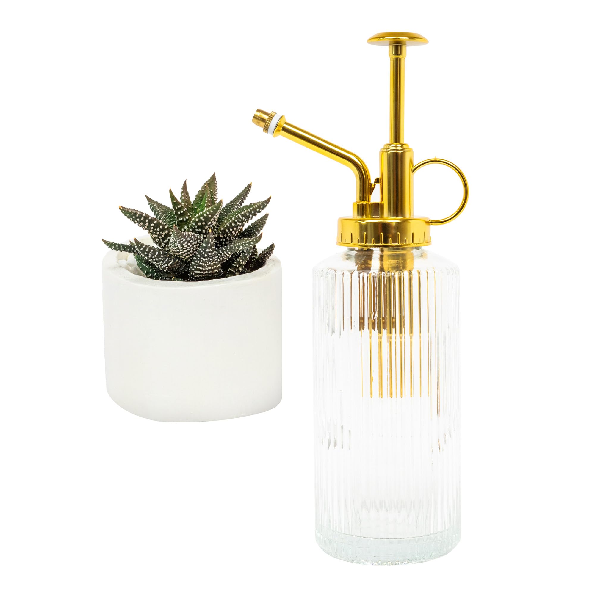 MEKKAPRO Clear Glass Plant Mister for inside, Mister for Plants, Plant Sprayer Mister, Decorative Plant Mister Spray Bottle with Adjustable Nozzle for indoor plants, Succulents (230ml/ 7.8oz)