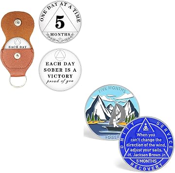 5 Month One Day at A Time Sobriety Chip, 150 Day Sobriety Chips Adjust Your Sails Scenery AA Medallion