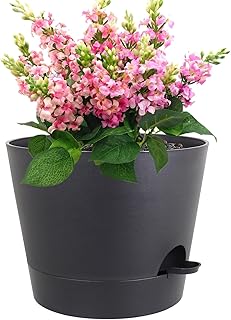 14 Small Backyard Ideas for Stylish and Functional Outdoor Living 43 12 inch Large Self Watering Pots for Indoor Outdoor Plants, Flower Plant...