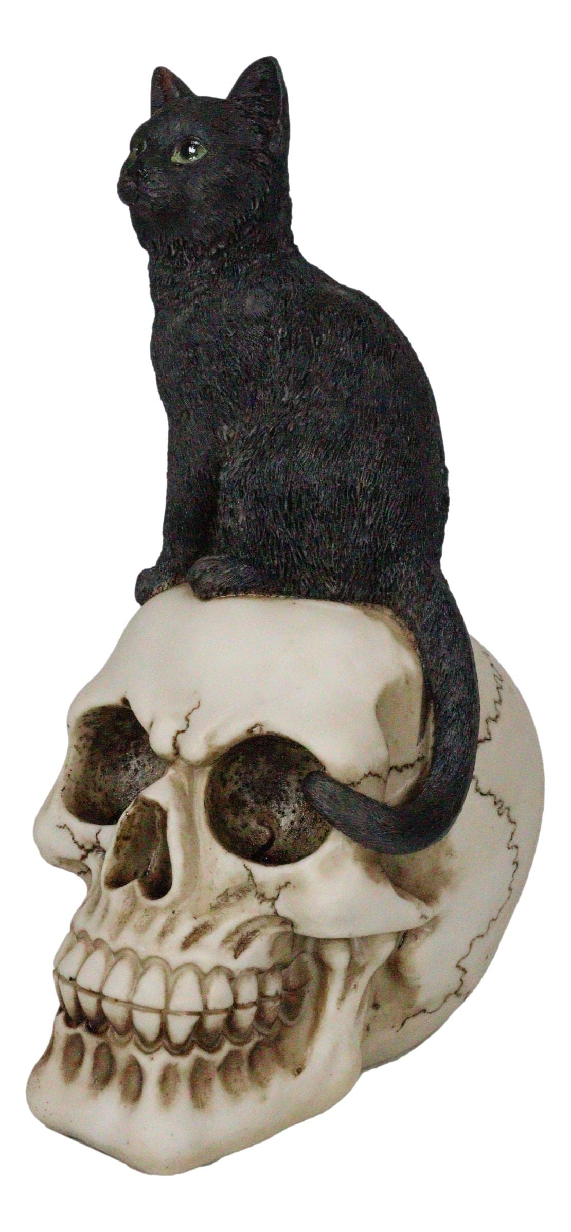 Amazon.com: Ebros Cat Witching Hour Witchcraft Black Feline