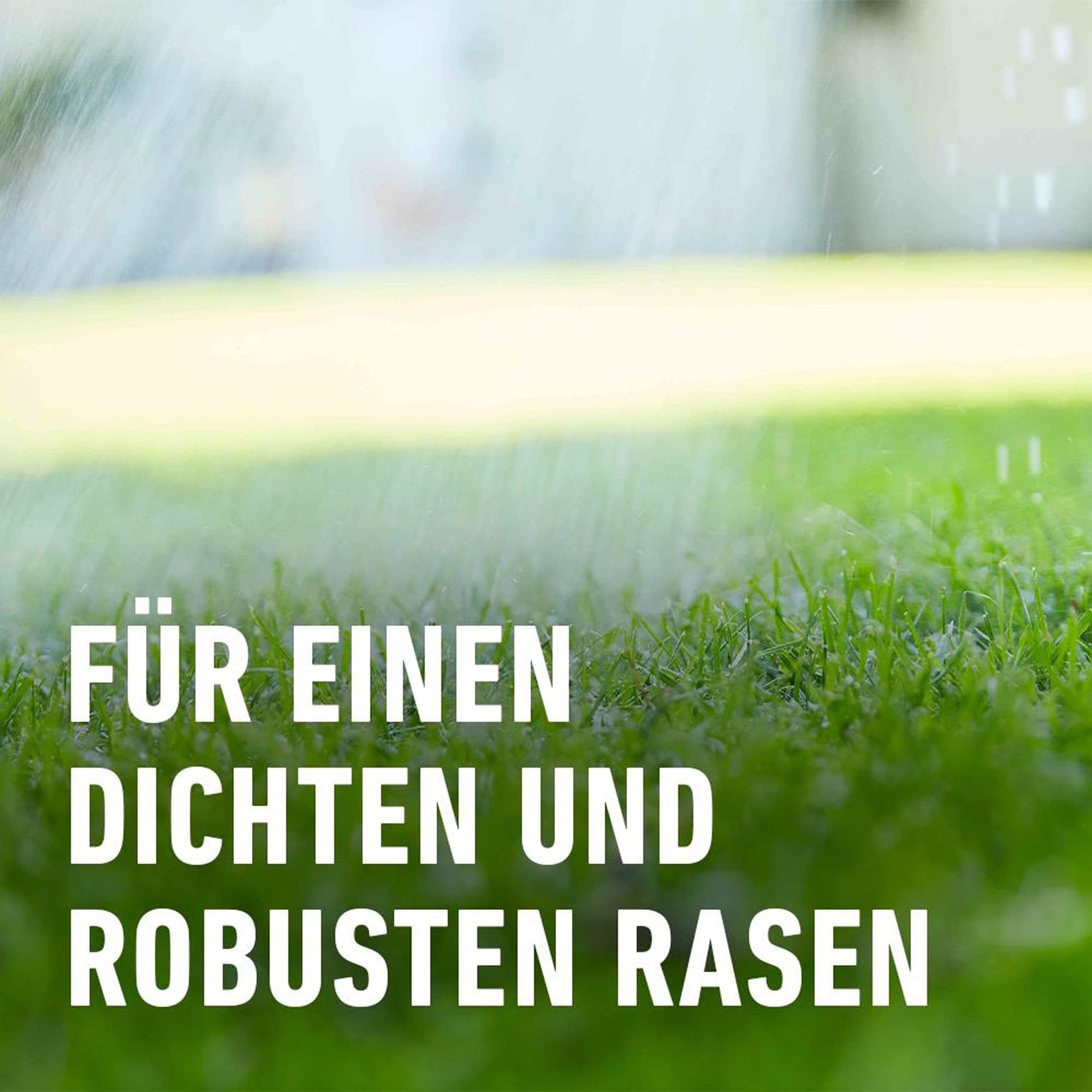 saatgut aufbewahrungsbox diy Saatgut- Aufbewahrungsbox