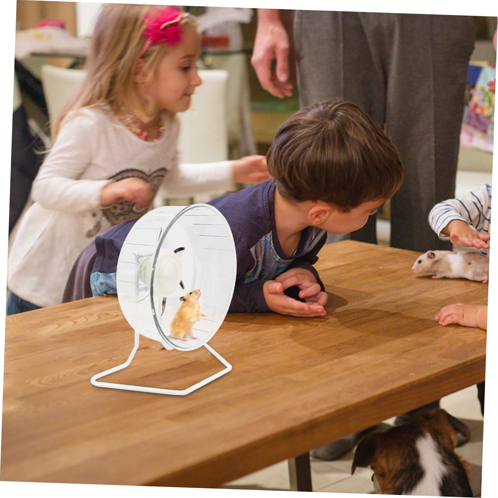 Roue d'exercice pour Hamster Silencieuse en Plastique et Fer, Blanche