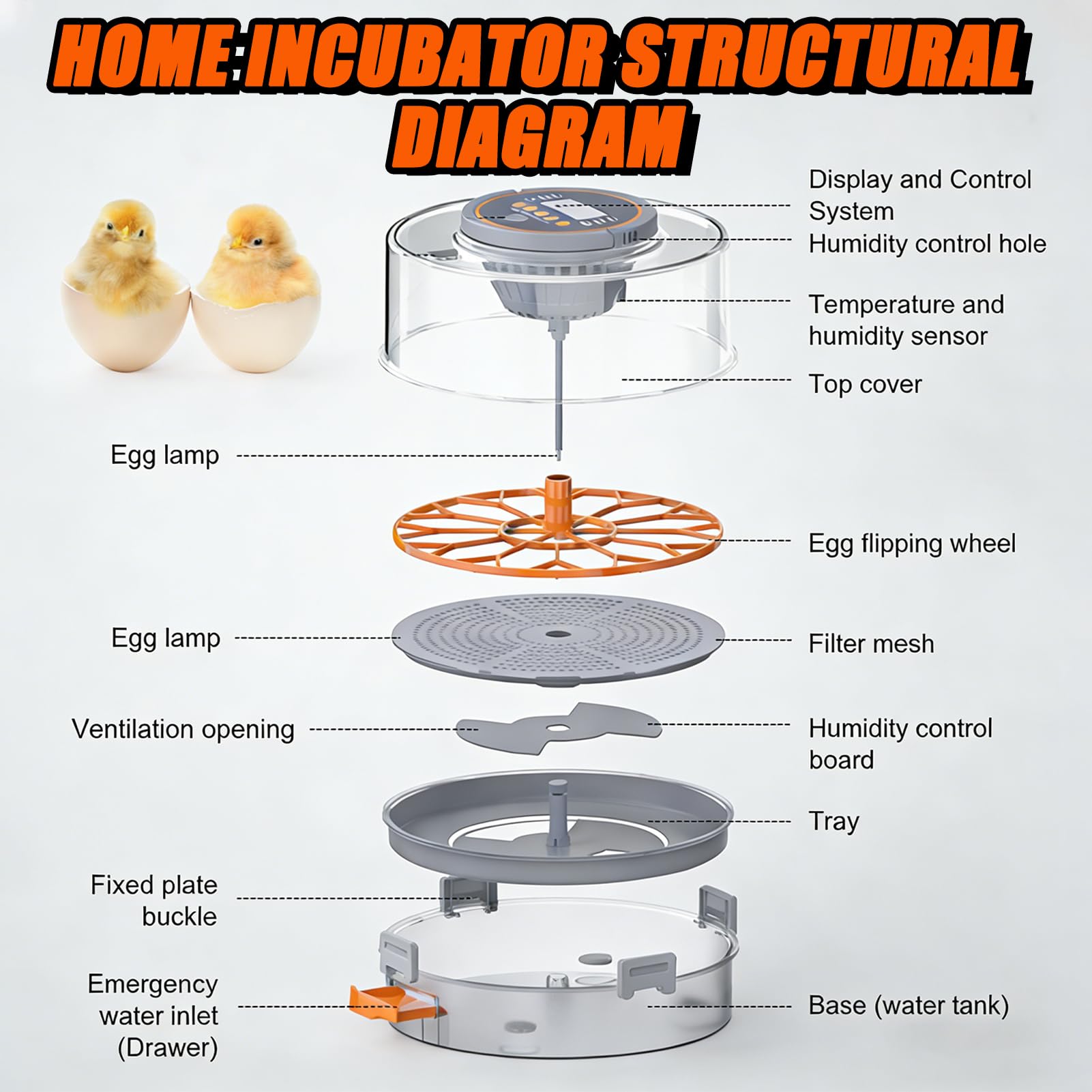 Incubadora automática inteligente de huevos con 12 huevos y control de humedad automático de huevos de gran capacidad, incubadoras de tanque de agua para incubar aves de corral, huevos de pato