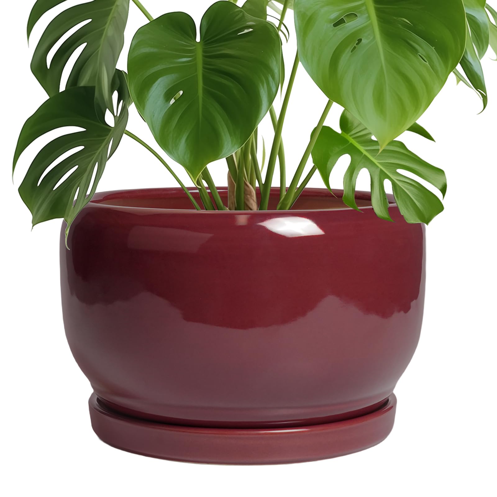 SQOWL Ceramic Pot for Plants - 10 Inch Indoor Planter with Drainage Hole and Saucer, Round Modern Planter Outdoor, Decorative Large Plant Pot for