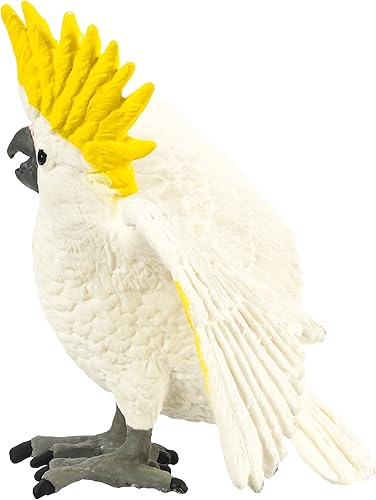 Miniatura 5 de Safari Cacatúa