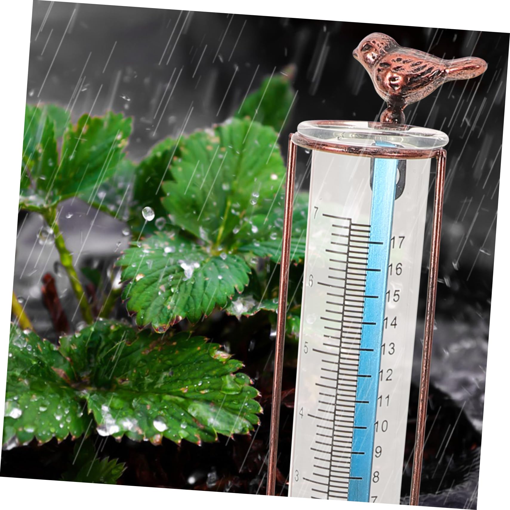 SOLUSTRE 5stücke Outdoor Regenmesser Mit Standfuß Präziser Testrohr Niederschlagsmesser Für Garten Und Langlebig Und Wetterbeständig Dichtungsring