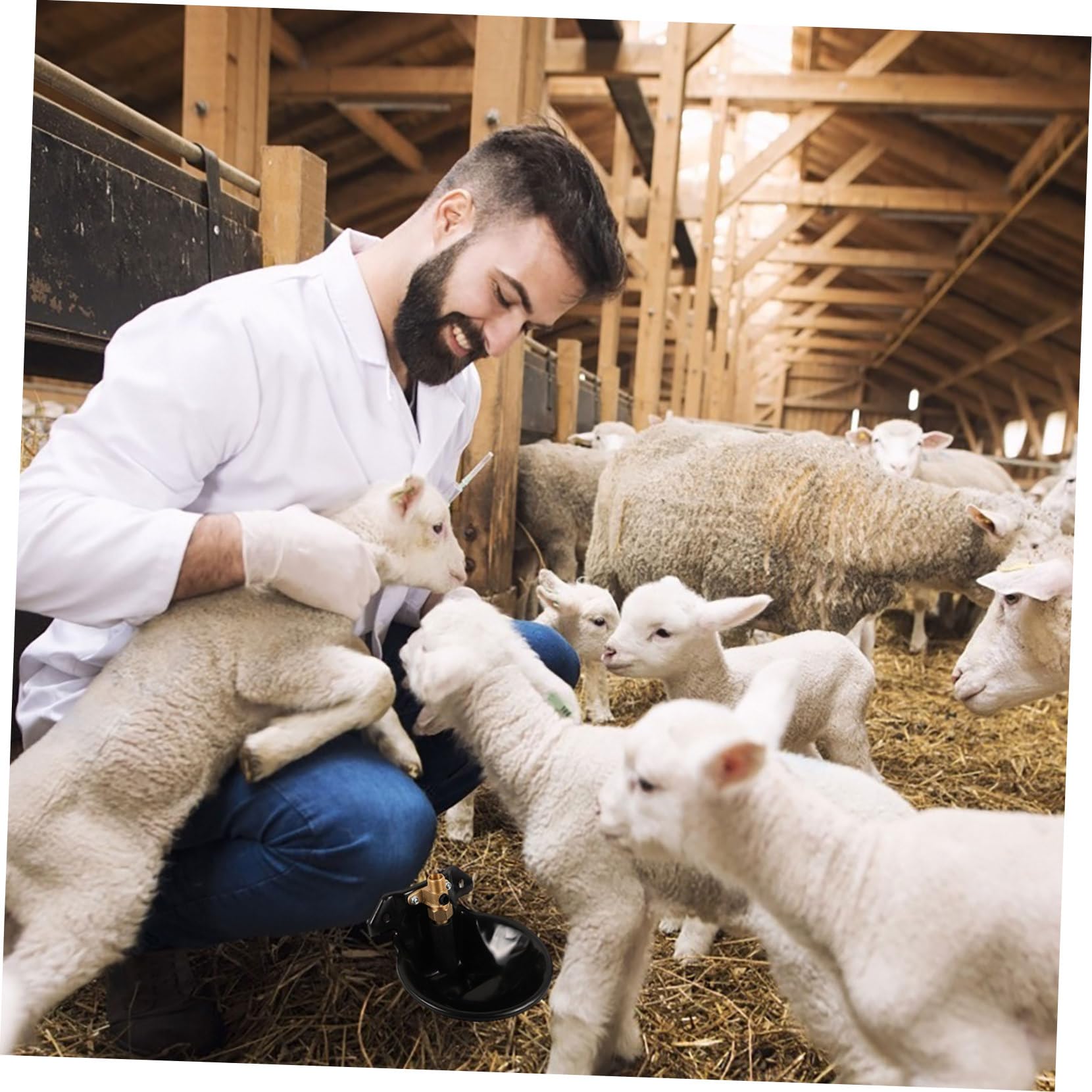 ifundom Bevitori Automatici per Bestiame Comodi Alimentatori Automatici per Acqua per Suini Pecore e Bovini Resistenti e Facili da Pulire