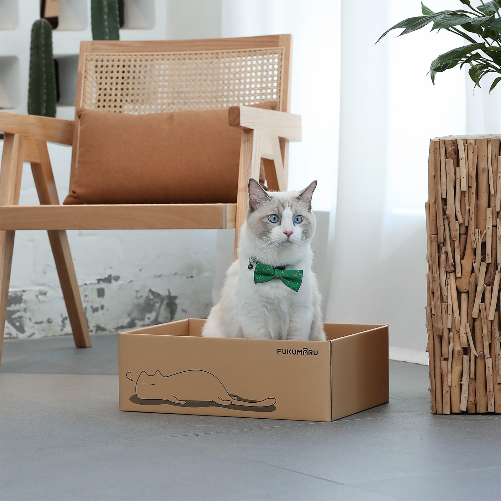 FUKUMARU Chat Grattoir Carton 5 PCS avec Boîte, Réversible Cat Scratch Pad, Kitty Ondulé Grattoir Lit