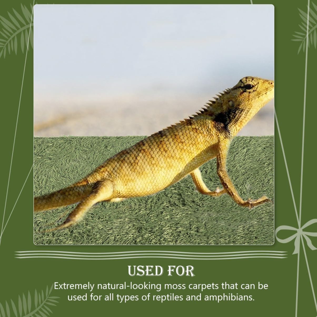 BESPORTBLE Crawl Carpet Reptile Box Mat Soft Bedding for Terrariums for Snakes Frogs and Lizards Artificial Lawn Cushion for
