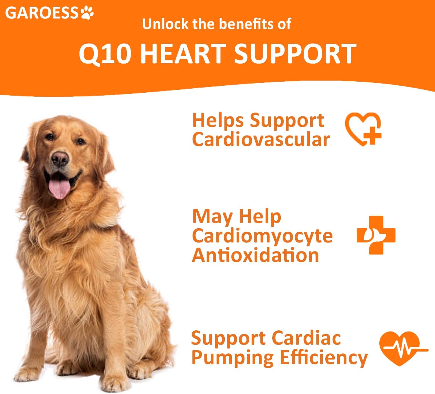 CoQ10 Heart Chew for Dogs, Support Dogs Heart Health, Cognitive & Energy, CoQ10 Chews for Cardiovascular & Gum Health & antioxidant Protection, Bacon Flavor, 240 Count (2 Packs/Trust it)