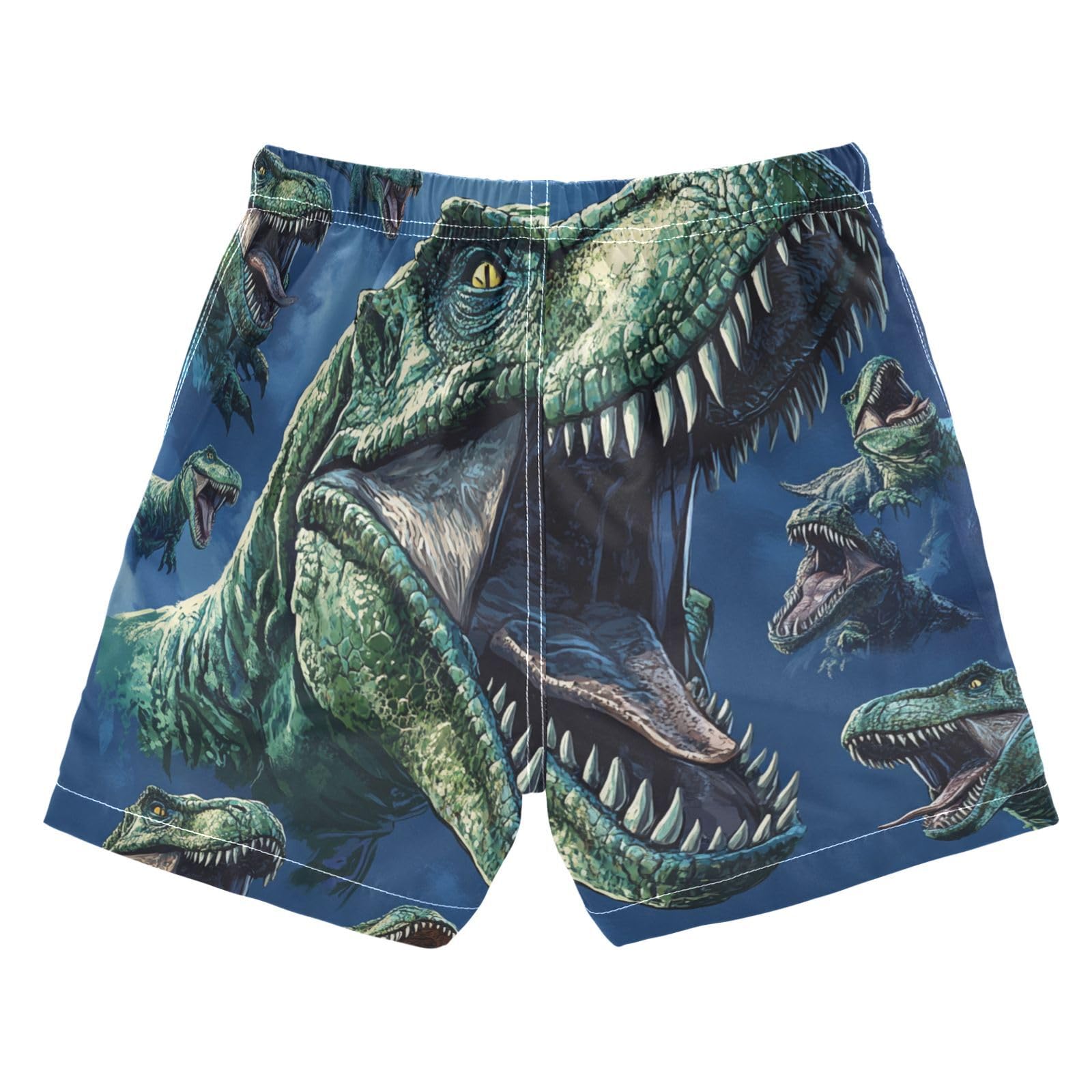 Jucciaco Boys Beach Board Shorts T-rex Dinosaur Cool Swim Trunk Teen Swimwear