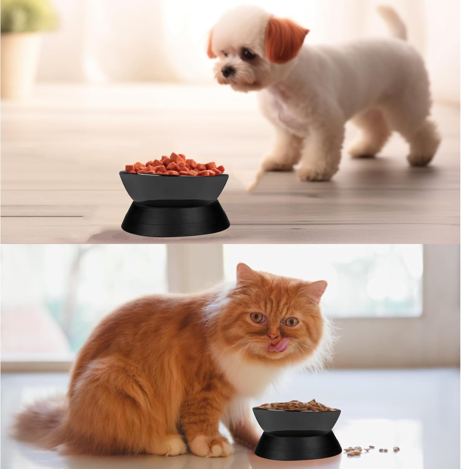 French Bulldog Food Bowl- Slanted Tilted Pug Food Water Bowl,Cat Bowl- Feeder for Frenchie/Shih Tzu/Flat Faced Small Dogs/Puppies/Cats (Black（Ceramic）, 2 Cup)