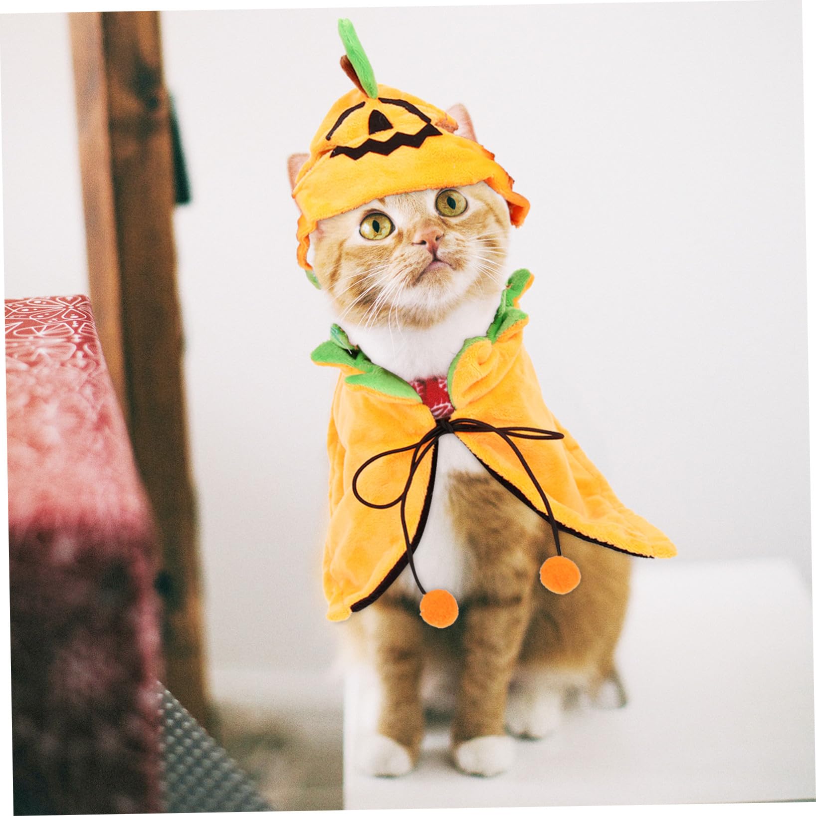 POPETPOP 4 Set Mantello Per Animali Domestici Mantello Di Peluche Per Animali Domestici Costume Da Zucca Di Halloween Per Gatti Mantello Di Zucca Per Cani Costume Di Halloween Per Cani