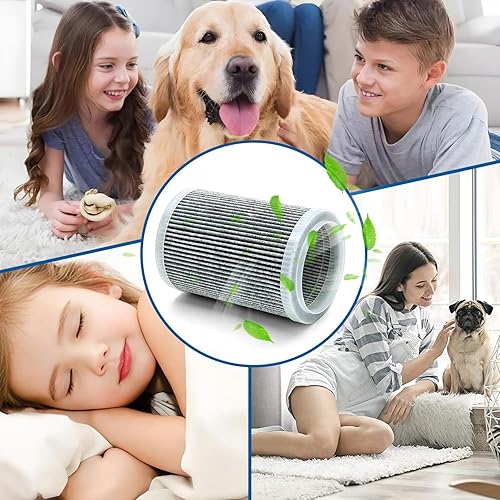 Miniatura 7 de Filtro de repuesto HEPA para purificador de aire compatible con filtro ZHIBO-C30 para filtros purificadores de aire ANB-VIHOSE-41021 (paquete de 2)